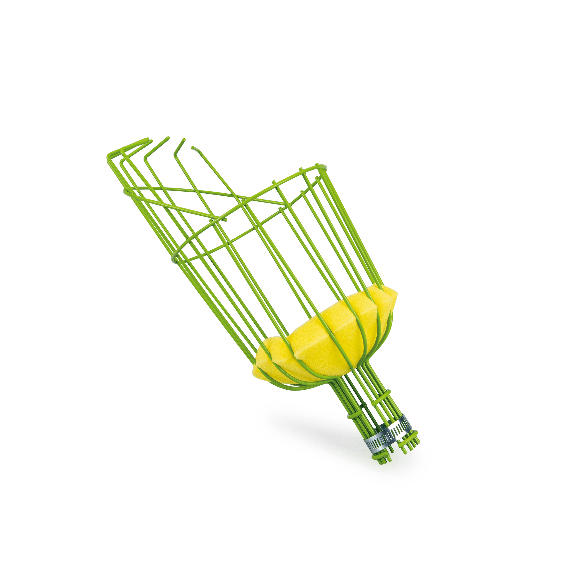 Apanhadores de Frutos