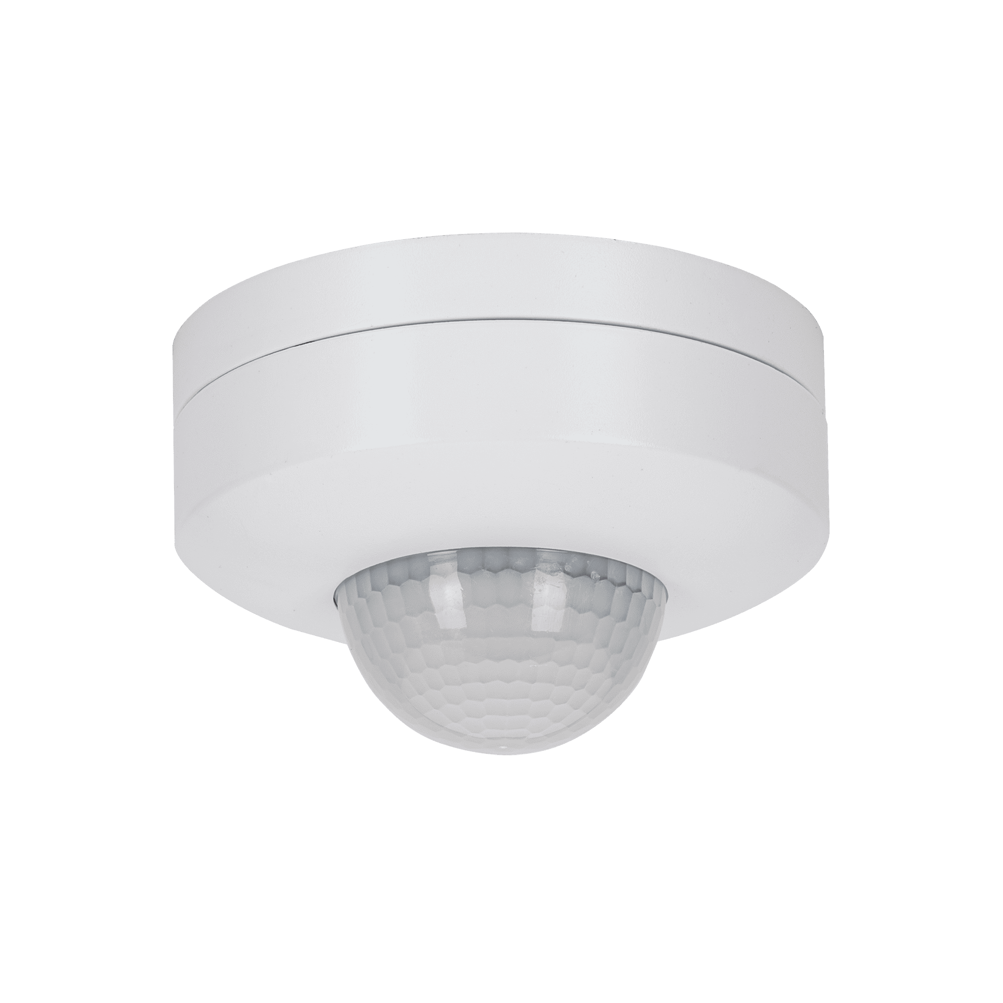 Detetores de Movimento